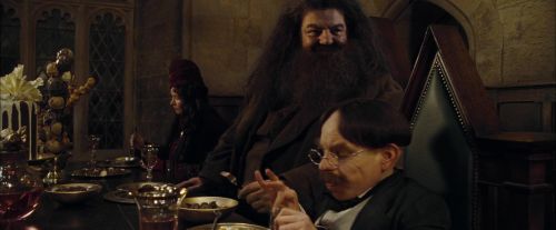 CdF-Potterish_1251.jpg