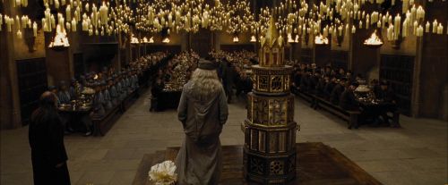 Click to view full size image
==============
CdF-Potterish_1274.jpg CdF-Potterish_1274.jpg