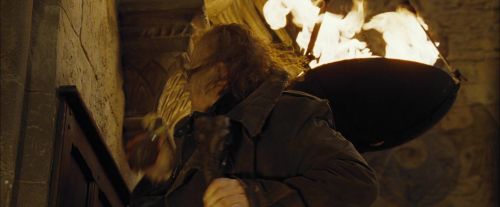 Click to view full size image
==============
CdF-Potterish_1363.jpg CdF-Potterish_1363.jpg