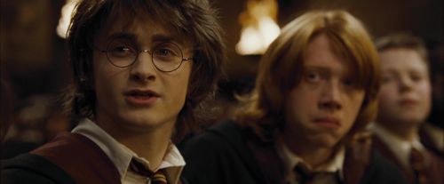 Click to view full size image
==============
CdF-Potterish_1369.jpg CdF-Potterish_1369.jpg