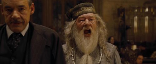 Click to view full size image
==============
CdF-Potterish_1398.jpg CdF-Potterish_1398.jpg