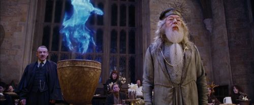 CdF-Potterish_1424.jpg