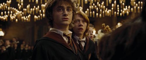 Click to view full size image
==============
CdF-Potterish_1431.jpg CdF-Potterish_1431.jpg