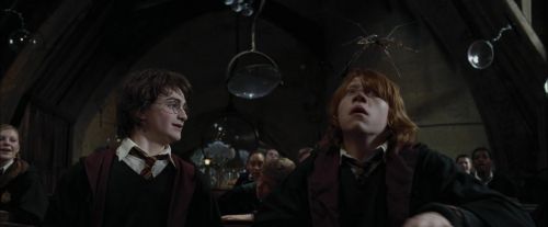 CdF-Potterish_1610.jpg