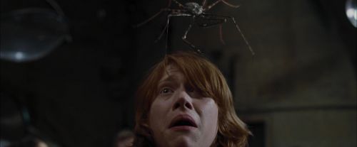 Click to view full size image
==============
CdF-Potterish_1611.jpg CdF-Potterish_1611.jpg