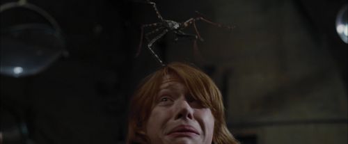 Click to view full size image
==============
CdF-Potterish_1612.jpg CdF-Potterish_1612.jpg