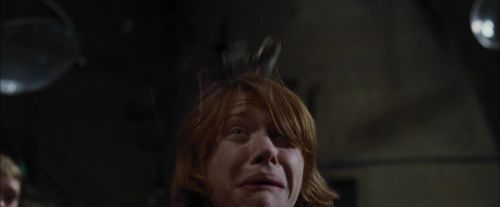 Click to view full size image
==============
CdF-Potterish_1613.jpg CdF-Potterish_1613.jpg