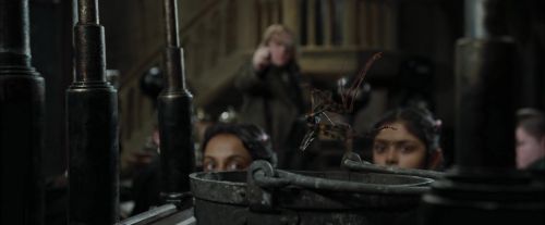 CdF-Potterish_1633.jpg