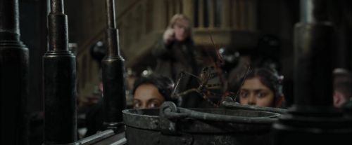 Click to view full size image
==============
CdF-Potterish_1634.jpg CdF-Potterish_1634.jpg