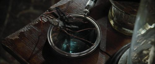 Click to view full size image
==============
CdF-Potterish_1697.jpg CdF-Potterish_1697.jpg