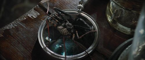 CdF-Potterish_1705.jpg