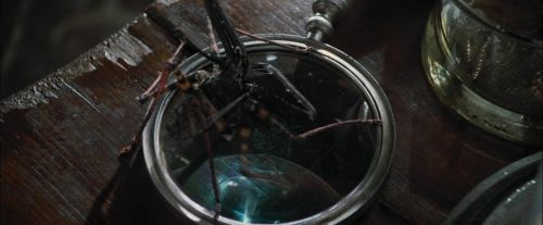 CdF-Potterish_1706.jpg