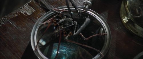 Click to view full size image
==============
CdF-Potterish_1708.jpg CdF-Potterish_1708.jpg