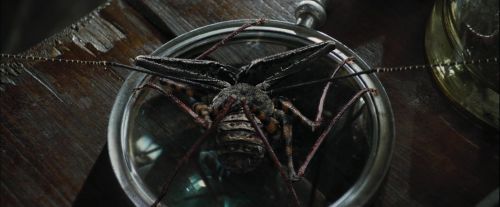 Click to view full size image
==============
CdF-Potterish_1720.jpg CdF-Potterish_1720.jpg
