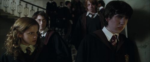 Click to view full size image
==============
CdF-Potterish_1811.jpg CdF-Potterish_1811.jpg