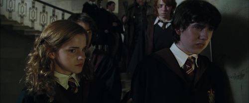 CdF-Potterish_1812.jpg