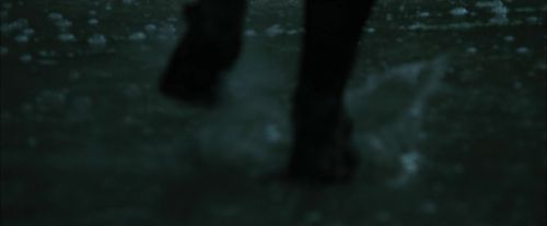 CdF-Potterish_1838.jpg