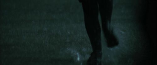 Click to view full size image
==============
CdF-Potterish_1839.jpg CdF-Potterish_1839.jpg