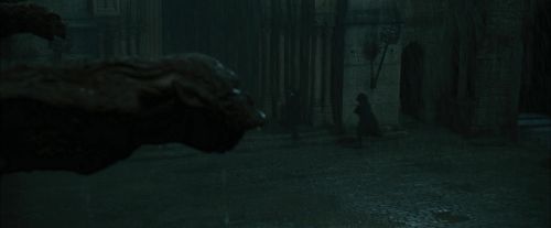 Click to view full size image
==============
CdF-Potterish_1842.jpg CdF-Potterish_1842.jpg