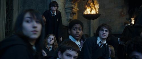 CdF-Potterish_2011.jpg
