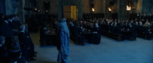 Click to view full size image
==============
CdF-Potterish_2025.jpg CdF-Potterish_2025.jpg