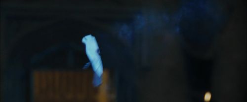 CdF-Potterish_2072.jpg