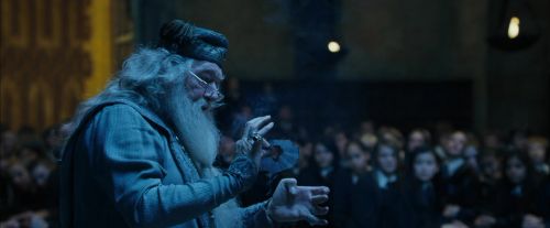 CdF-Potterish_2077.jpg