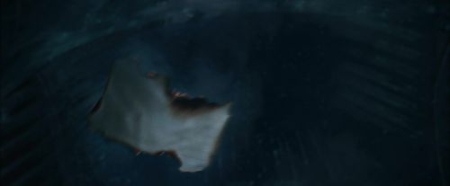 CdF-Potterish_2150.jpg