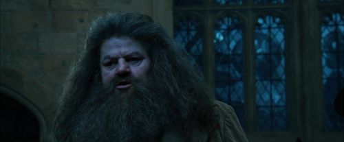 CdF-Potterish_2166.jpg
