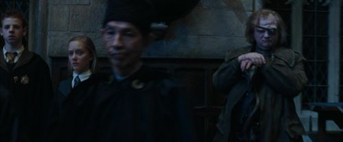 Click to view full size image
==============
CdF-Potterish_2225.jpg CdF-Potterish_2225.jpg