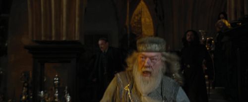 Click to view full size image
==============
CdF-Potterish_2253.jpg CdF-Potterish_2253.jpg