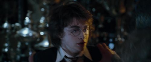 CdF-Potterish_2254.jpg