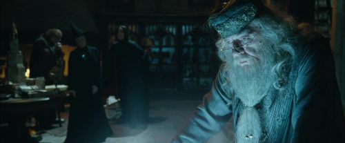CdF-Potterish_2344.jpg