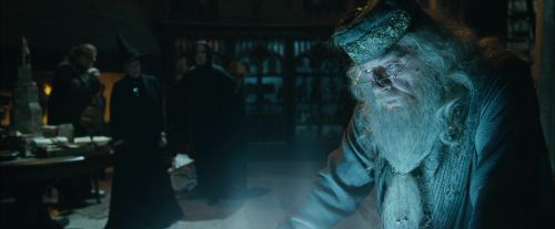CdF-Potterish_2347.jpg