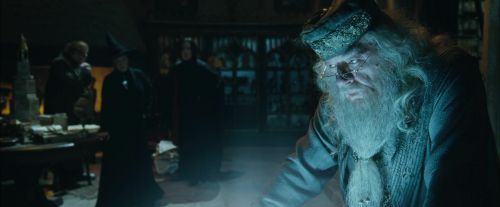 CdF-Potterish_2348.jpg