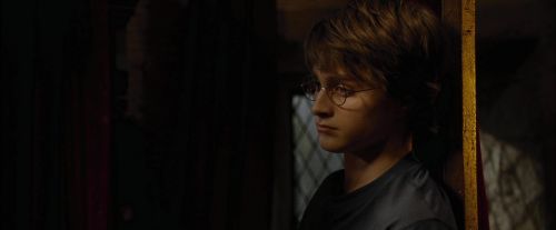 CdF-Potterish_2416.jpg