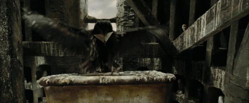 CdF-Potterish_2663.jpg