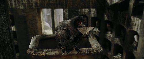 CdF-Potterish_2671.jpg