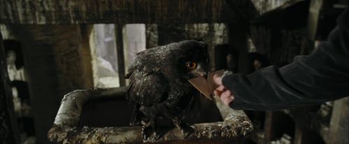 Click to view full size image
==============
CdF-Potterish_2672.jpg CdF-Potterish_2672.jpg