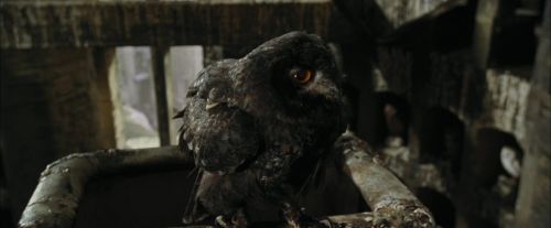 Click to view full size image
==============
CdF-Potterish_2674.jpg CdF-Potterish_2674.jpg