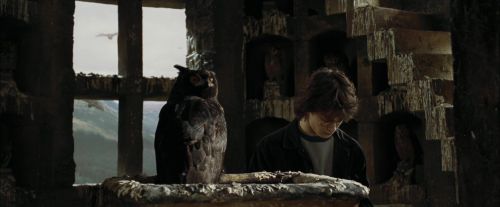 Click to view full size image
==============
CdF-Potterish_2679.jpg CdF-Potterish_2679.jpg