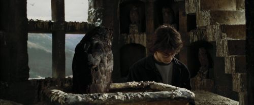 CdF-Potterish_2681.jpg