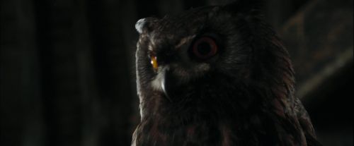 Click to view full size image
==============
CdF-Potterish_2686.jpg CdF-Potterish_2686.jpg