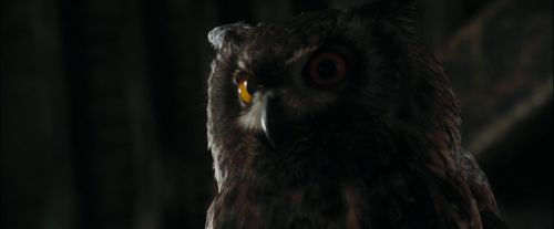Click to view full size image
==============
CdF-Potterish_2687.jpg CdF-Potterish_2687.jpg