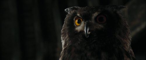 Click to view full size image
==============
CdF-Potterish_2688.jpg CdF-Potterish_2688.jpg
