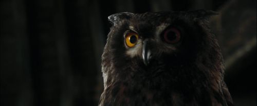 CdF-Potterish_2689.jpg