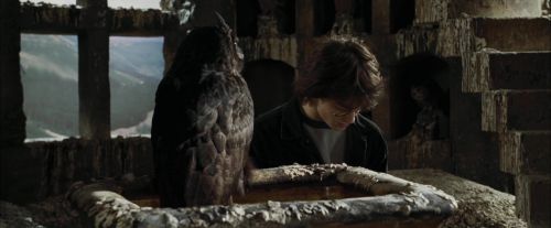 CdF-Potterish_2697.jpg