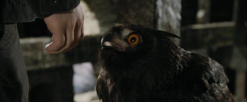 CdF-Potterish_2700.jpg