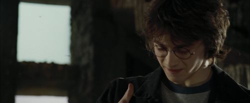 Click to view full size image
==============
CdF-Potterish_2702.jpg CdF-Potterish_2702.jpg