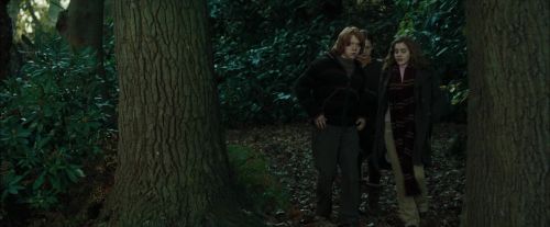 CdF-Potterish_2928.jpg